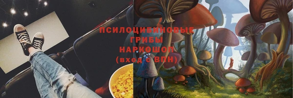 PSILOCYBIN Алексин