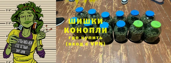 дурь Алзамай